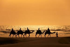 прогулянки на верблюдах вздовж узбережжя Марокко
