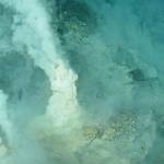 Жизнь под метаном или кто проживает на дне океана? Новости подводного мира