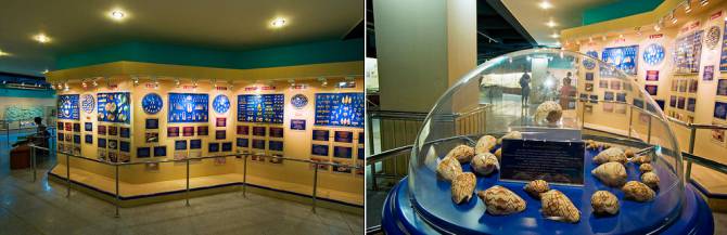 музей морських ракушок на Пхукеті