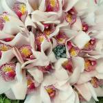 Букет из орхидей – изысканная мечта!