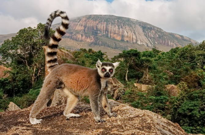 острів Мадагаскар