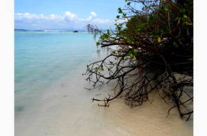 Де і як відпочивати на Маврикії