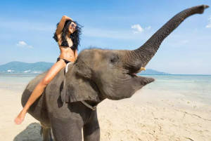 Катання на слонах: нешкідлива розвага або знущання з тварин?