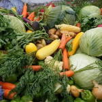 Правила вибору і купівлі насіння овочевих культур